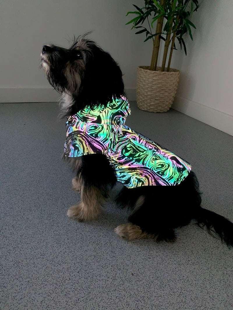 Jazzy Pups - Cosmic Ripple - Raincoat