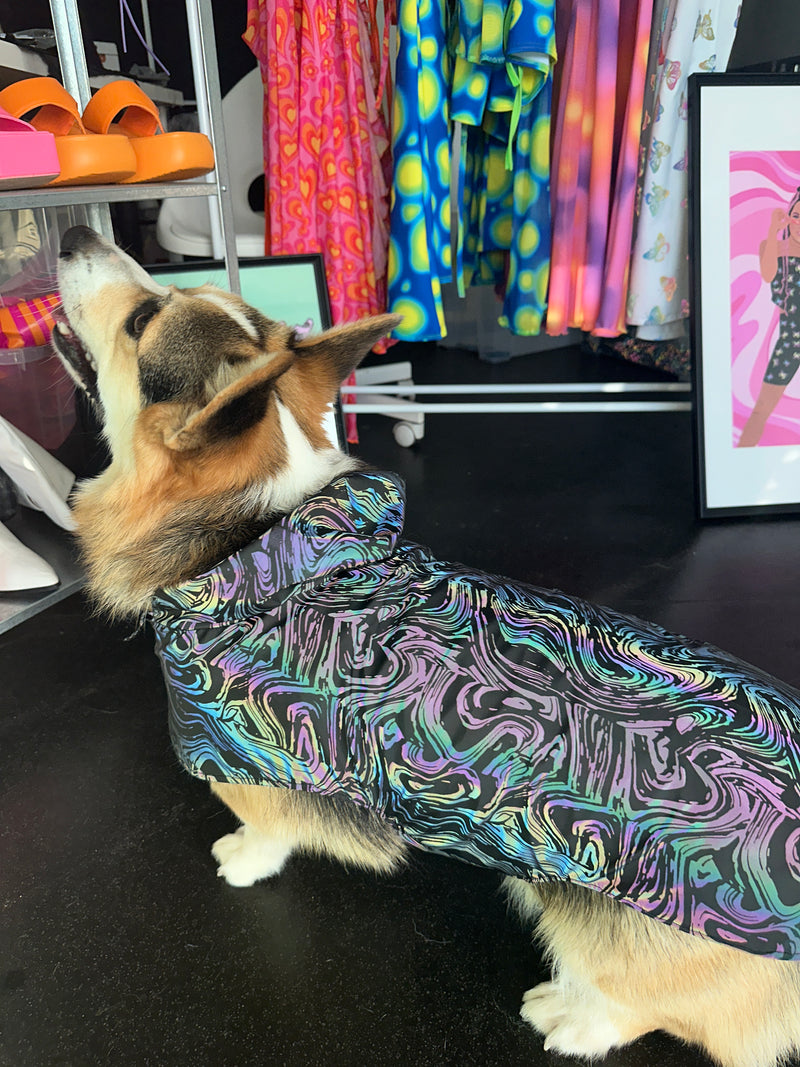 Jazzy Pups - Cosmic Ripple - Raincoat